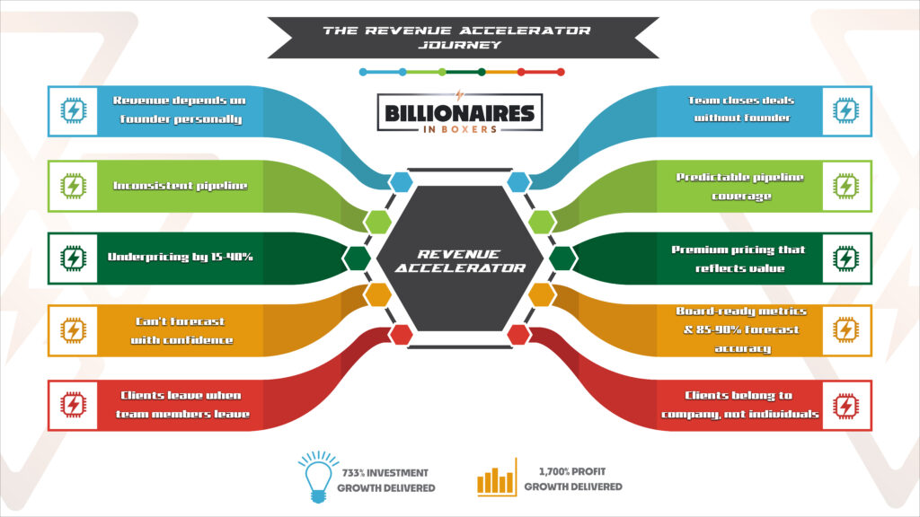 Revenue accelerator for private equity portfolio companies